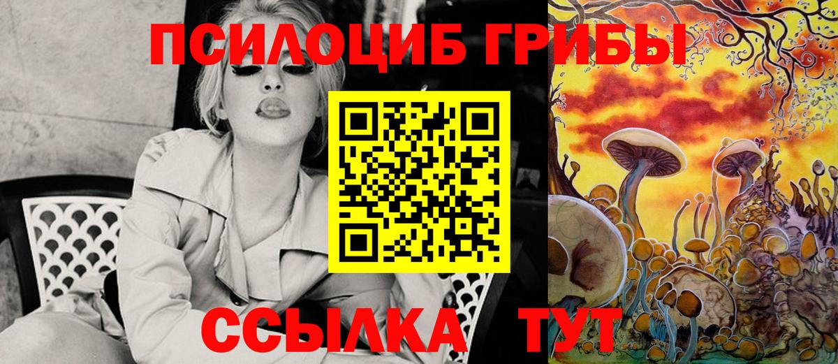 Галлюциногенные грибы MAGIC MUSHROOMS  Вход с VPN  Всеволожск 