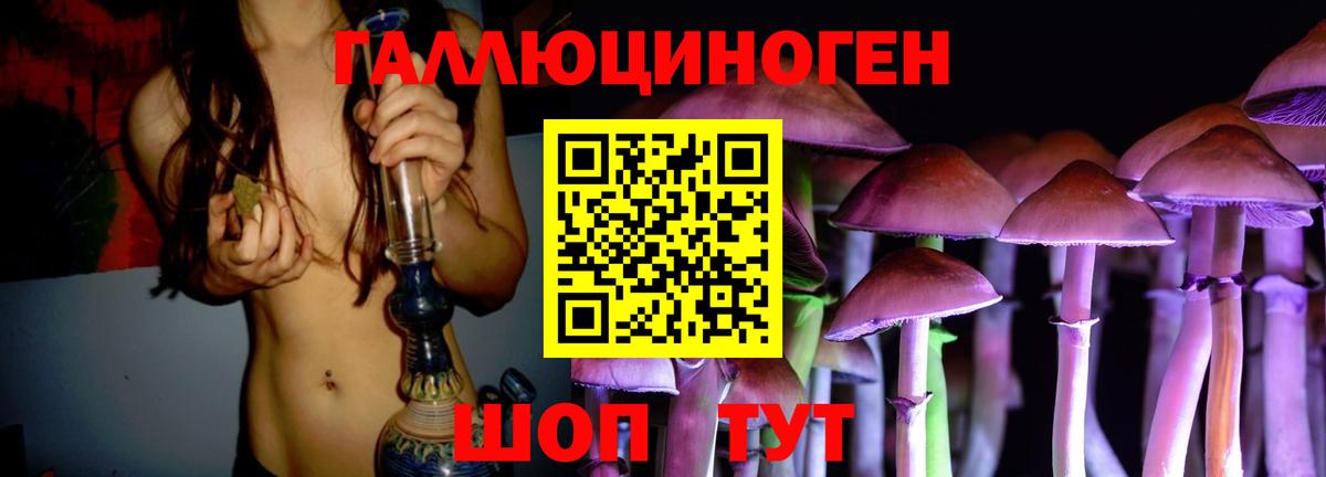 Псилоцибиновые грибы мухоморы Всеволожск